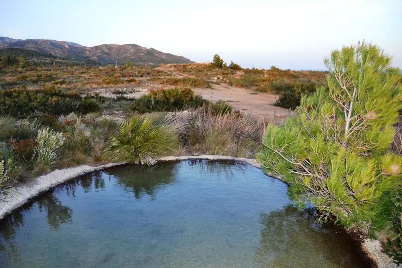 DSC_1381_coto