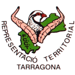 representacion teritorial